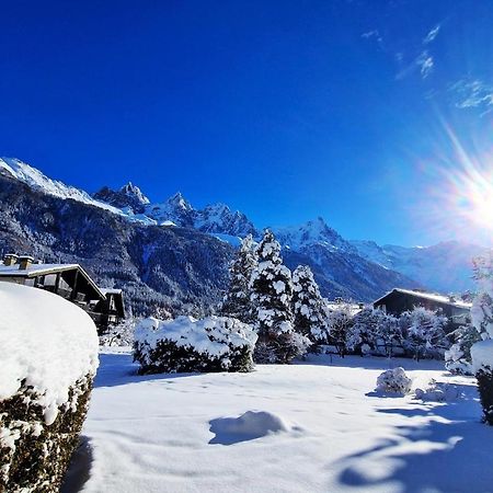 Chamonix Appartement Vue Mont Blanc Avec Jardin Eksteriør billede